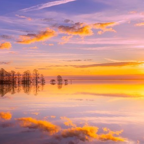 Meet your Posher, Posh - Picture 1 of 1